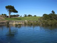 Waitangi Golf Club - 11th Green from Water-1.jpg
